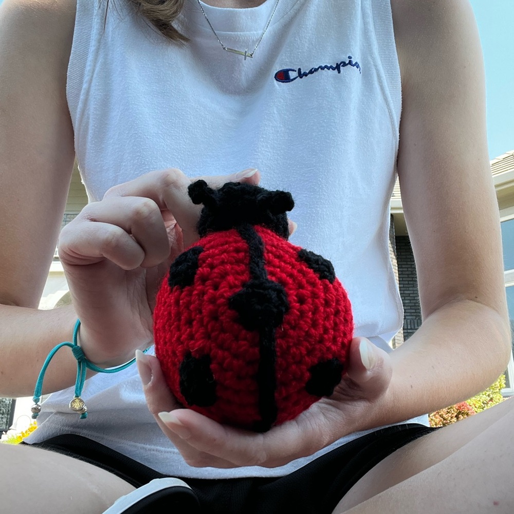 Hand Crocheted Little Ladybug Plushie Stuffed Animal! - Picture 3 of 12